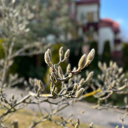 Apartament Josefina بولانيكا- زدروي المظهر الخارجي الصورة
