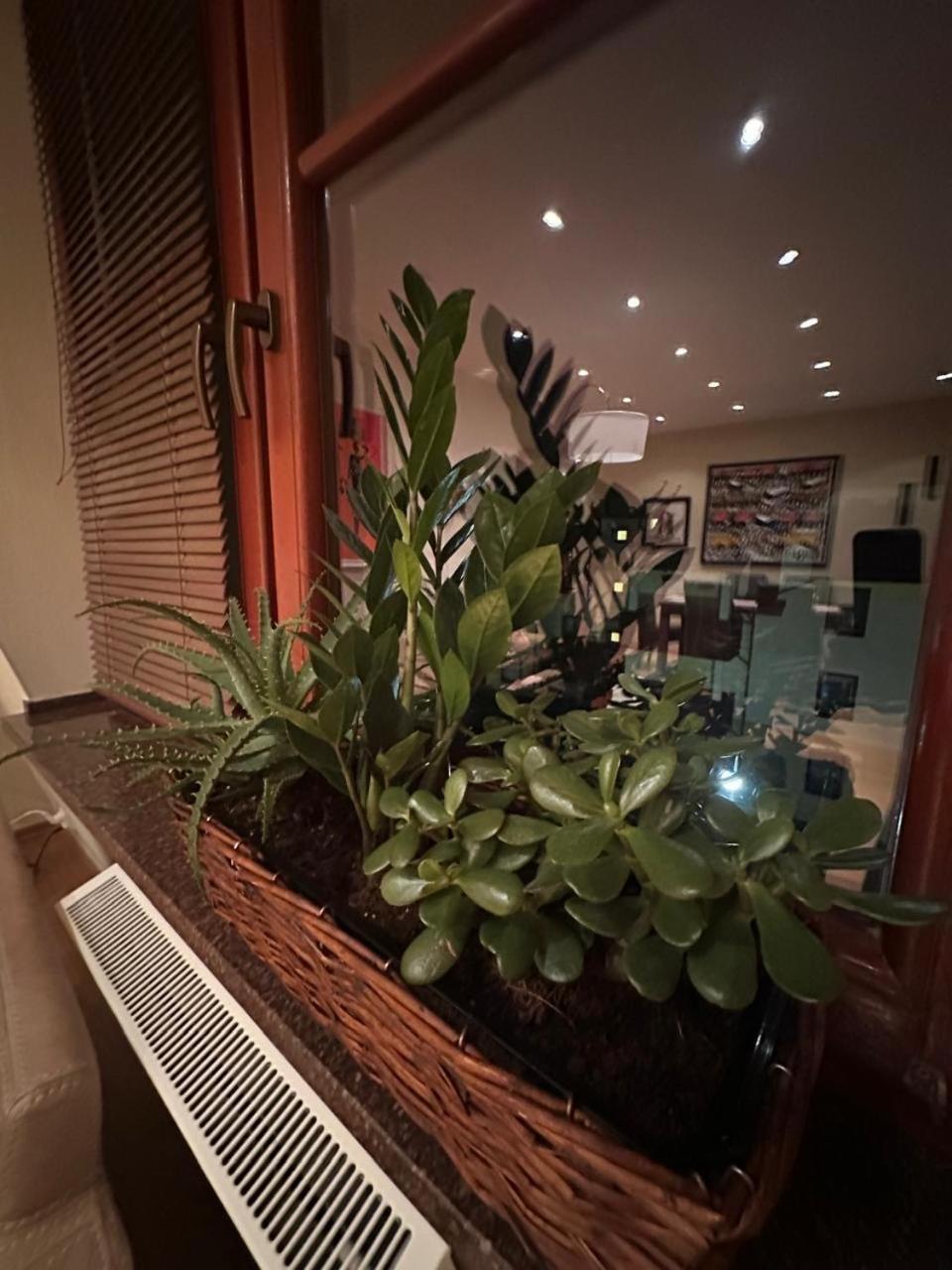 Apartament Josefina بولانيكا- زدروي المظهر الخارجي الصورة